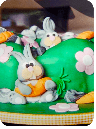 Meu Primeiro Zoológico - 31